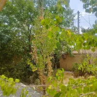 منزل-ویلایی-در-بافت