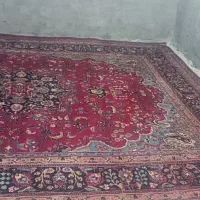 فرش دستبافت|فرش|زاهدان, |دیوار