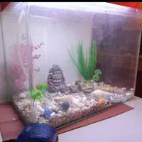 لوازم جانبی حیوانات