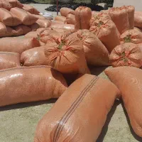 یونجه سبز و خشک به شرط