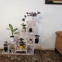استند گل