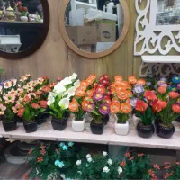 پخش شلف نوریان