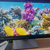 مانیتور فرم لس 22 اینچ دل