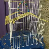 قفس پرنده با وسایل