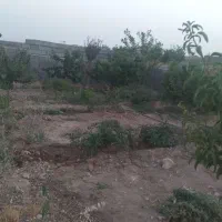 فروش باغ  ۲۰۰ و ۳۰۰ متری در شهرک خور هشتگرد|فروش زمین و ملک کلنگی|هشتگرد, خور|دیوار