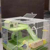 قفس همستر و پرنده