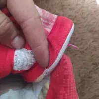 اصلی سایز ۴۰|کیف، کفش، کمربند|کرج, شاهین‌ویلا|دیوار