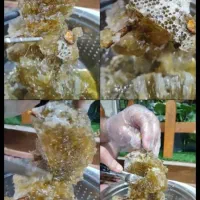 عسل صددرصد طبیعی|عمدهفروشی|سیراف, |دیوار