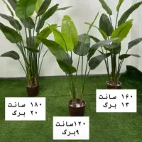 مور درخچه|گل مصنوعی|تهران, مشیریه|دیوار