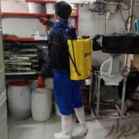 سم پاشی حشرات سوسک ساس موریانه ۱۰۰%تضمینی موش