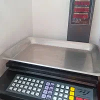 ترازو دیجیتال پند مدلPX6000