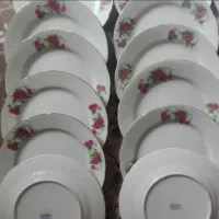 ظروف گل سرخی وغیره
