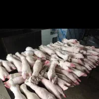 کله گوساله و پاچه و سیرابی|خوردنی و آشامیدنی|بجنورد, |دیوار