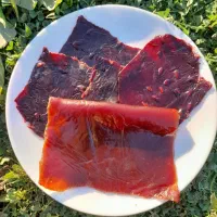 لواشک ارگانیک