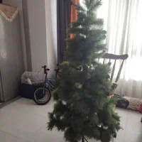 فروش یک عدد درخت کریسمس