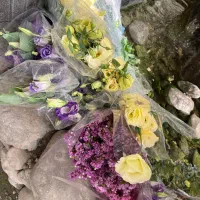 فروش گل شاخه ای یکجا|گل و گیاه طبیعی|قم, آزادگان|دیوار