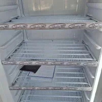 فریزر ایستاده فروشگاهی الکترواستیل|فروشگاه و مغازه|بندرعباس, |دیوار