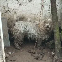 گمشده ی شما نیست