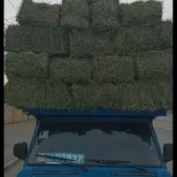 یونجه انباری درجه یک|عمده‌فروشی|دشتابی, |دیوار