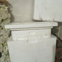 فیبر