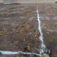 فروش-1600زمین-واقع-در-حسین-آباد-میش-مست