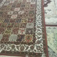 قالی|فرش|فلاورجان, |دیوار