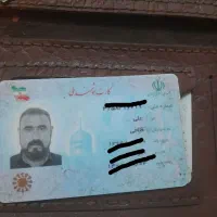 مدارک گم شده|اشیا|کرمانشاه, |دیوار