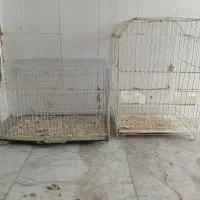 قفس و لوازم قفس پرنده