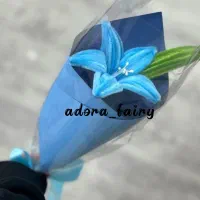 تک شاخه هدیه روز معلم