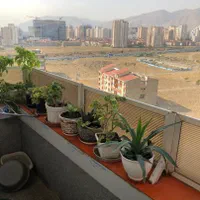 ۱۳۴ متر دهکده المپیک