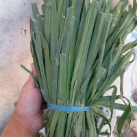 فروش انواع سبزیجات|خوردنی و آشامیدنی|جونقان, |دیوار