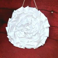 کیف کادو و شاباش و هدایای عروس|کیف، کفش، کمربند|رشت, پاستوریزه|دیوار