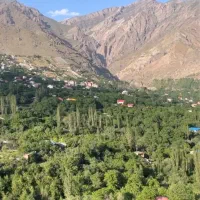 فروش زمین ۳۰۲متری در روستای امامه بالا