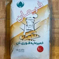 خمیر مایه خشک ارسال رایگان