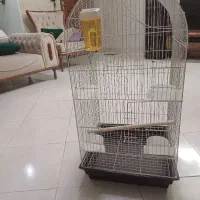 قفس پرنده بزرگ