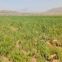 زمین یزدانشهر آینده دارقسمت چهارم