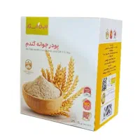 پودر جوانه گندم بین استار|آرایشی، بهداشتی، درمانی|رشت, نیروی دریایی|دیوار