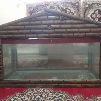 اکواریوم