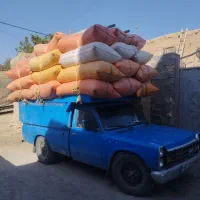 خرید و فروش پرس گندم، یونجه،علف، کاه گندم و کاه جو