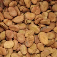 باقلا باقالی|عمده‌فروشی|برازجان, |دیوار