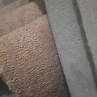 موکت|موکت|طرقبه, |دیوار