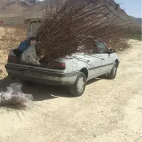 زمین-کشاورزی