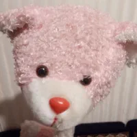 چوب لباسی خرسی|اسباب و اثاث بچه|نهاوند, |دیوار