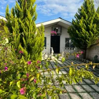 کود های ارگانیک