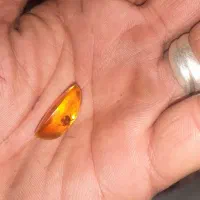 نگین انگشتر کهربا|جواهرات|اردبیل, |دیوار