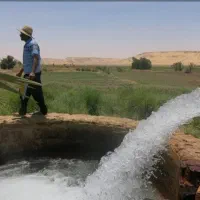 استا مغنی  سیدحسن