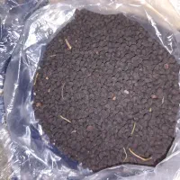 حدود نیم کیلو بذر گل پیچک نیلوفر بنفش و صورتی|گل و گیاه طبیعی|تهران, ایرانشهر|دیوار