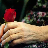 همراه بیمار