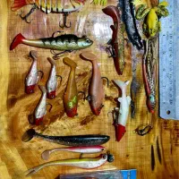 طعمه ماهیگیری