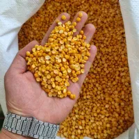 لپه ریز آذرشهر بشرط پخت۱۰۰٪|خوردنی و آشامیدنی|تبریز, |دیوار